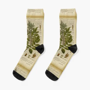 Ботаническата принт на страницата старата книга - лакричные чорапи компресия чорапи Дамски Мъжки Дамски чорапи
