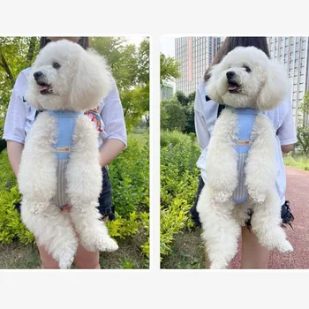 Чанта за пренасяне на домашни любимци на открито Раница за кучета средни Зоотовары Модни стоки за домашни любимци на малки кучета, Дишащи пешеходни